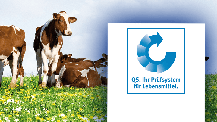 QS-system TÜV NORD Cert